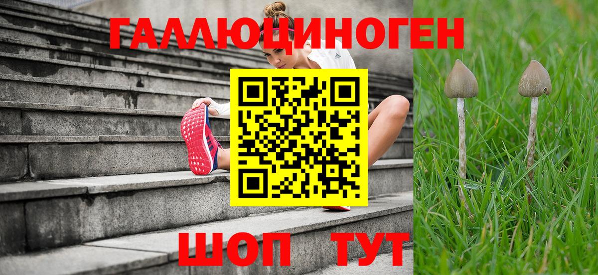 Галлюциногенные грибы GOLDEN TEACHER Черногорск