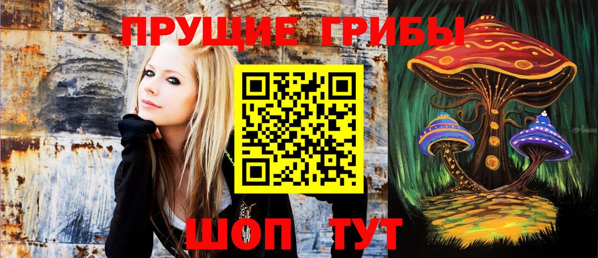 Галлюциногенные грибы MAGIC MUSHROOMS  Вход с VPN  Черногорск 